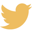 Twitter Icon