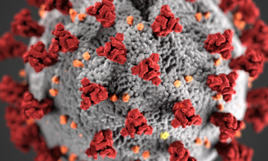 COVID-19 molecule